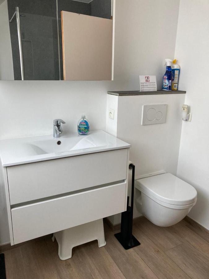 Zonnig Appartement Nieuwpoort Bagian luar foto