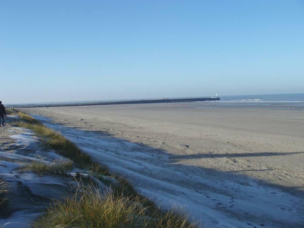 Zonnig Appartement Nieuwpoort Bagian luar foto